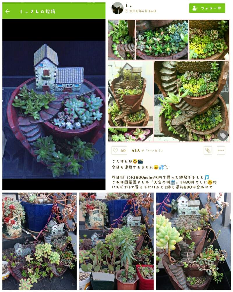 階段/廊下の画像 by しぃさん | 階段/廊下と乙女心と天空の城 と晴れの国タニラーGPとOMTN©と成長記録と多肉寄せ植えととある田舎町