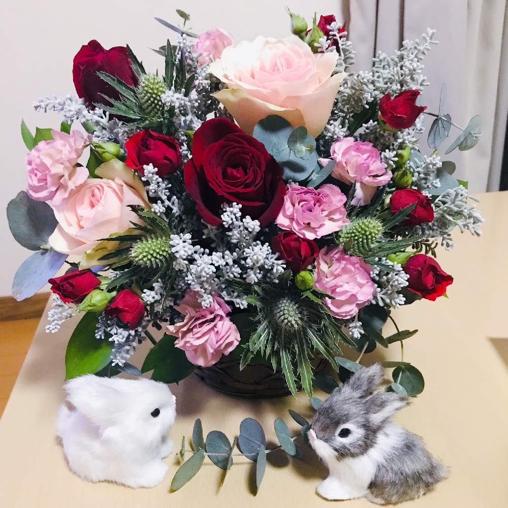 部屋の画像 by みわさん | 部屋とコチア ダイアモンドダストとユーカリと名前を教えて!とバラとスプレーバラとスプレーカーネーションとエリンジウムと花のある暮らしと植物で彩るお部屋とクリスマス