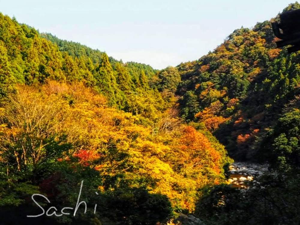 お出かけ先の画像 by sachiさん | お出かけ先と紅葉と残したい風景と紅葉(こうよう)と花のある暮らしと鈴鹿・亀山とボタニカルスポット2019秋と水のある風景