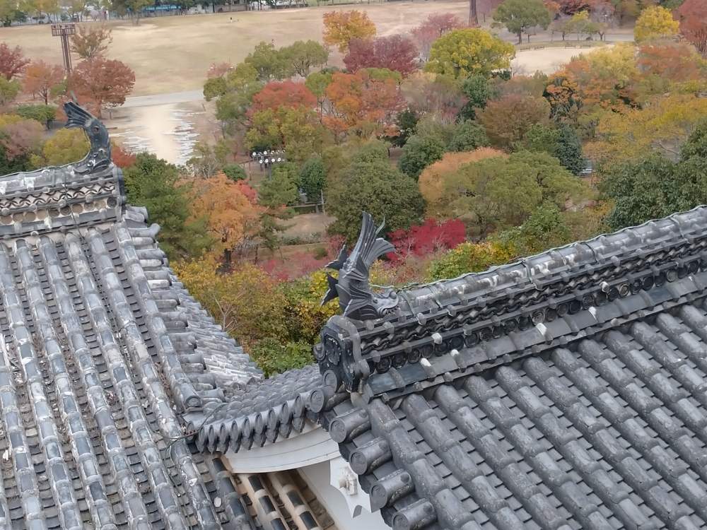 お出かけ先の画像 by うさぎさん | お出かけ先と紅葉♪と楽しいかも♪と姫路城とお一人様散策♪と癒し系と花のある暮らし