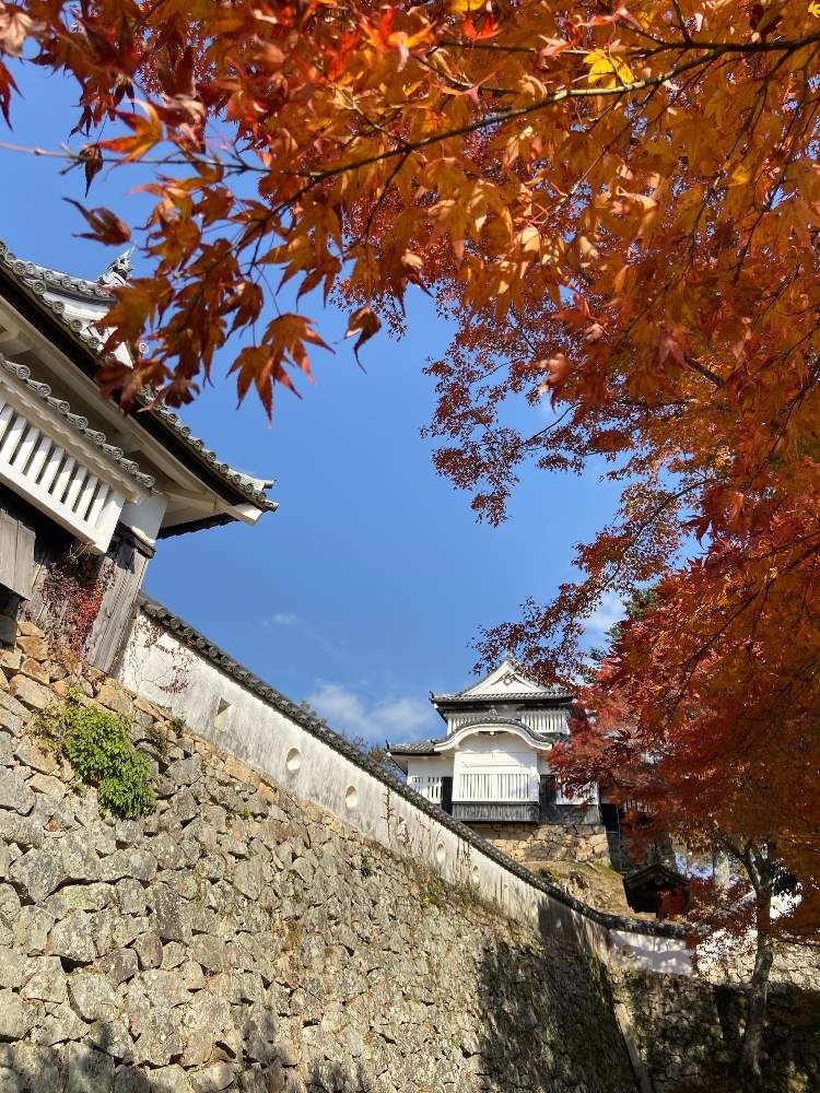お出かけ先の画像 by na-chanさん | お出かけ先とモミジと備中松山城とお城と紅葉スポットと山城と秋を感じてとボタニカルスポット2019秋