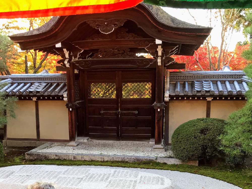 お出かけ先の画像 by チャーさん | お出かけ先と永観堂の紅葉とチャーさんのリポートと京都 永観堂と京都の風物詩と永観堂と季節の 便りと秋の姿とチャーさんの 里山歩きと秋の風物詩と里山歩きと勅使門と秋色と紅葉(こうよう)とモミジ狩りと京都とボタニカルスポット2019秋