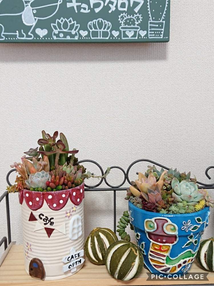 部屋の画像 by さちべさん | 部屋と多肉寄せと出来たよ♡寄せ植えと可愛い~❤とGSのお友だちとberryさんリメ缶と多肉の紅葉✨と花のある暮らしと素敵な一日とたにおたくらぶとここばな庵の鉢