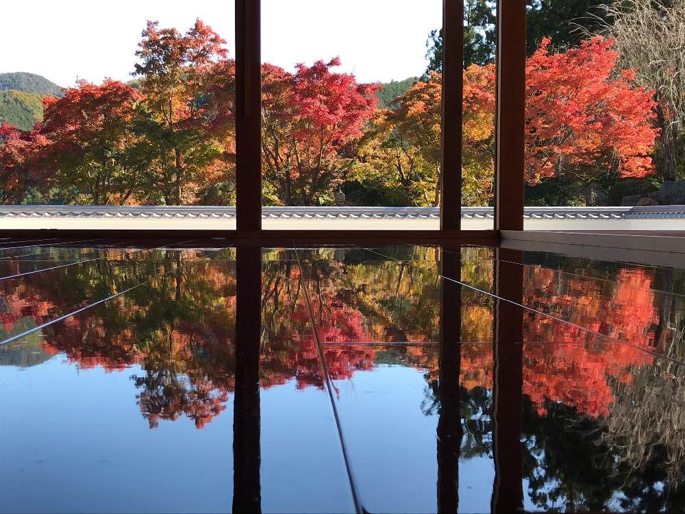 お出かけ先の画像 by ポチさん | お出かけ先と紅葉ともみじと床もみじとピカピカと桐生 宝徳寺とGS映えとドライブと情熱の赤と真っ赤と花のある暮らしとはじめてとiPhone撮影と床紅葉(床もみじ)