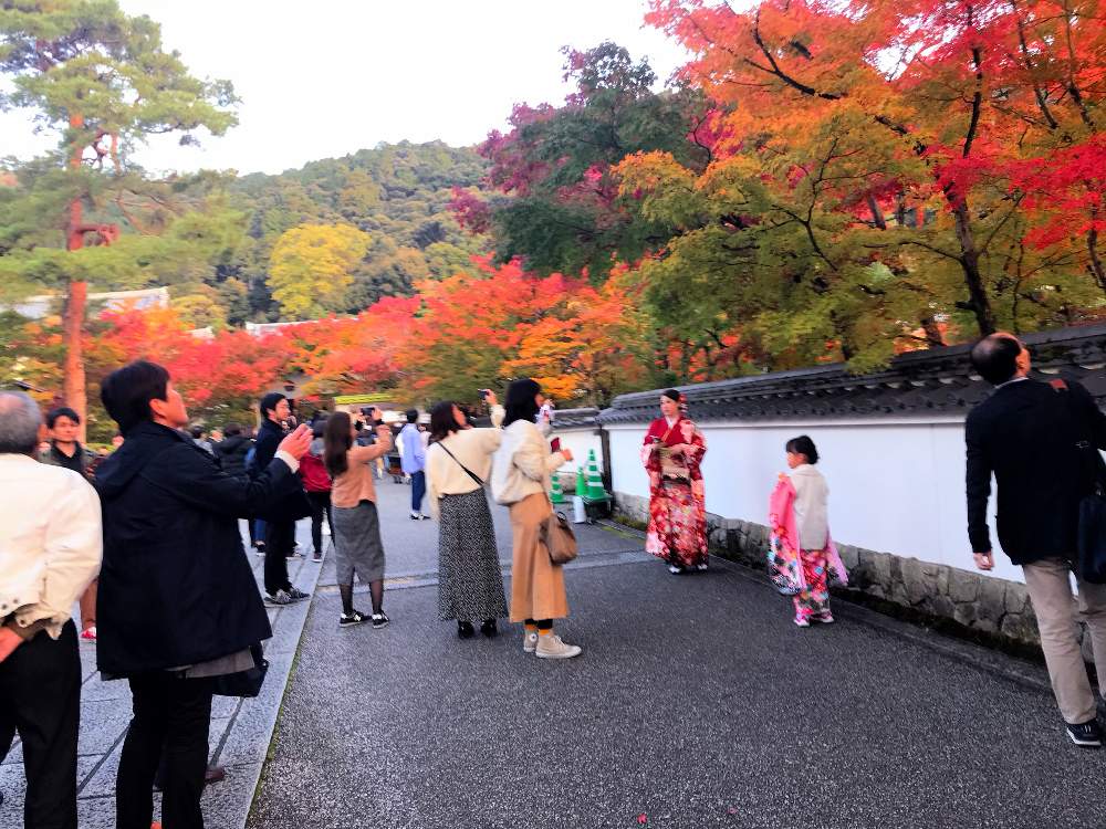 お出かけ先の画像 by チャーさん | お出かけ先と永観堂の紅葉とチャーさんのリポートと京都 永観堂と秋を感じると京都の風物詩と永観堂と季節の 便りと秋の姿とチャーさんの 里山歩きと秋の風物詩と里山歩きと秋色と紅葉(こうよう)とモミジ狩りと京都とボタニカルスポット2019秋