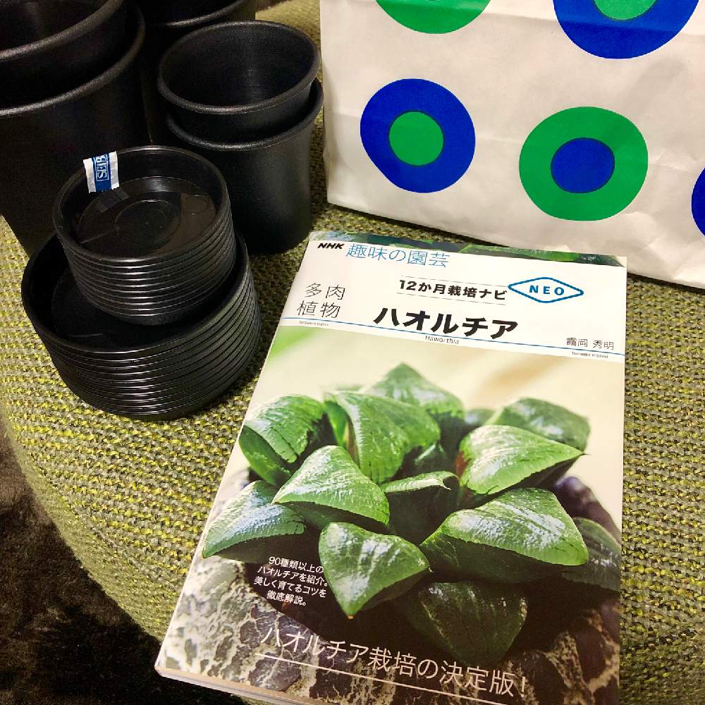 の画像 by たなきーさん | 多肉植物とハオルチア属と多肉女子とタニラーと鶴仙園