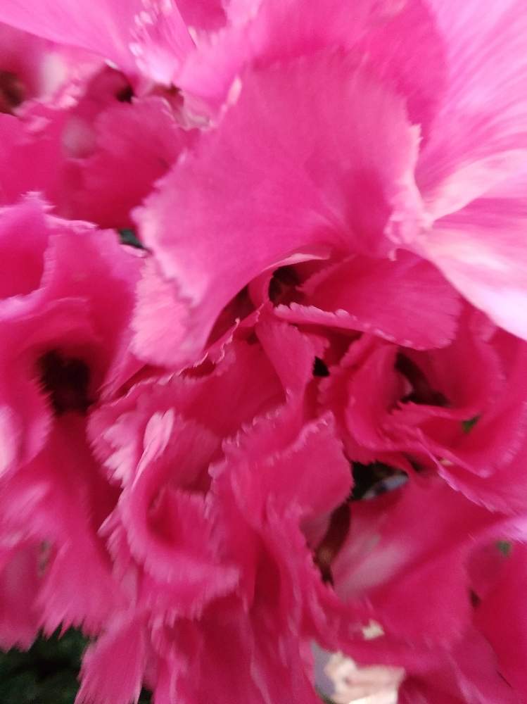 お出かけ先の画像 by まさしさん | お出かけ先と花のある暮らしと近隣散策と秋のひととき