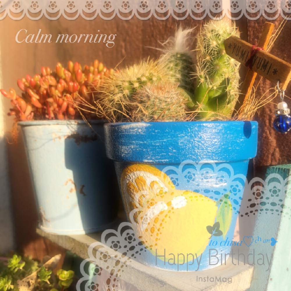 エクステリアの画像 by *yumi yumi*さん | エクステリアと虹の玉とサボテン寄せ植えと老楽と金星と多肉植物とキュンキュン乙女倶楽部とお疲れ様です♡と東北、北海道に光をと手描きリメ鉢とサボテン☆とヒヤミカチ首里城!とかわいい♡とひやみかち首里城!とサボテンの寄せ植えとお誕生日おめでとうと花のある暮らしと被災地にエールを…。と多肉初心者