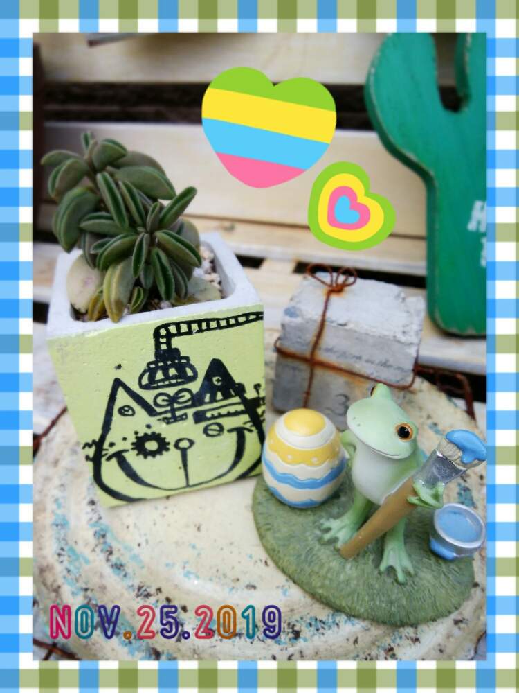 小さな庭の画像 by ☆みなみ☆さん | 小さな庭とペペロミア ニパドラと感動!と繋がりに感謝と日々の暮らしの中の幸せと今日も多肉三昧!とたにおたくらぶ152と癒しをありがとうと秋色と発見と私の癒し系達♡と今日の見~つけた!とたにおたくらぶとコポたんとコポたんファンクラブ
