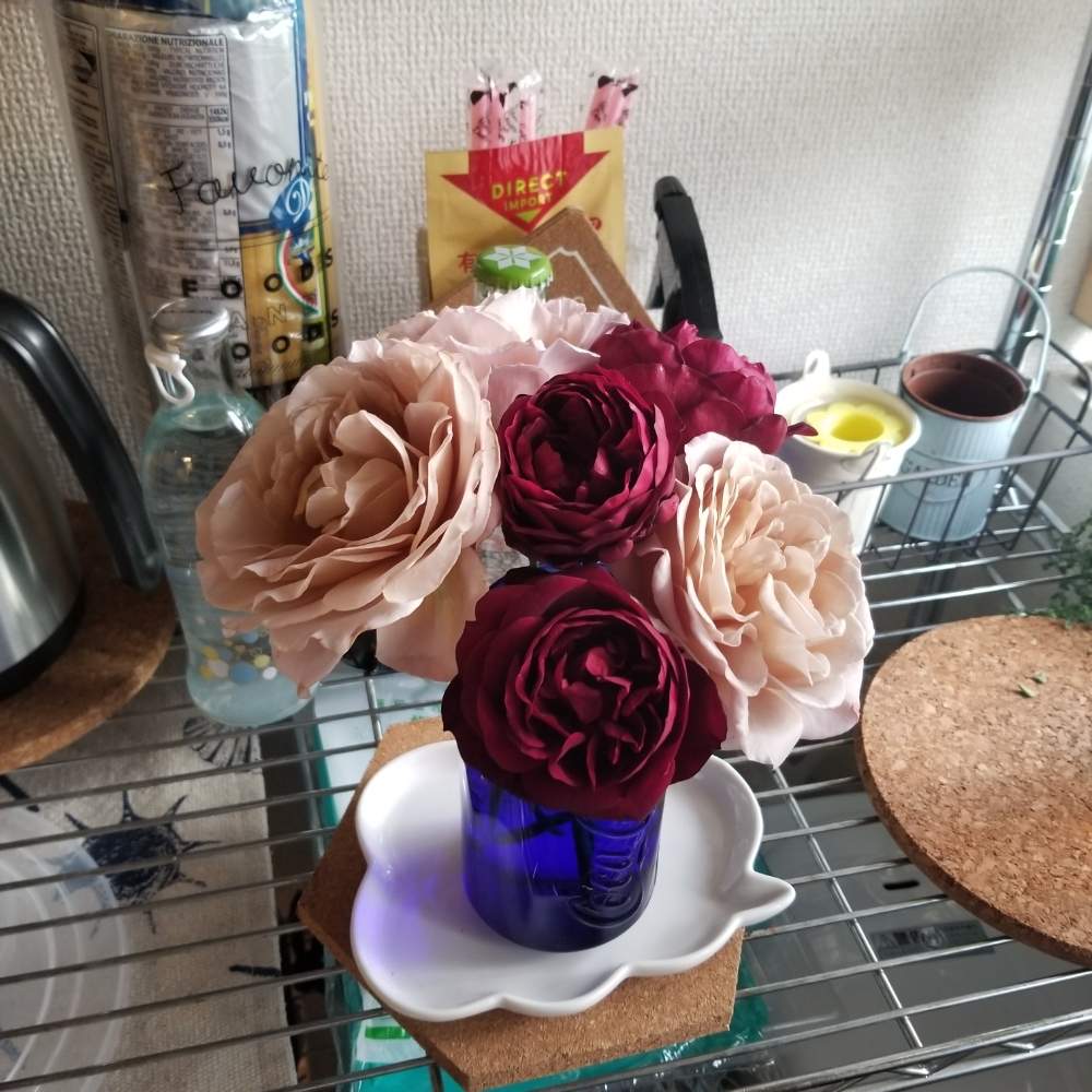 の画像 by まいこ。さん | カフェラテとフランシス・デュブリュイとバラ初心者とロザリアン入門と薔薇初心者と花のある暮らしとバラ・ミニバラとバラ・オールドローズ
