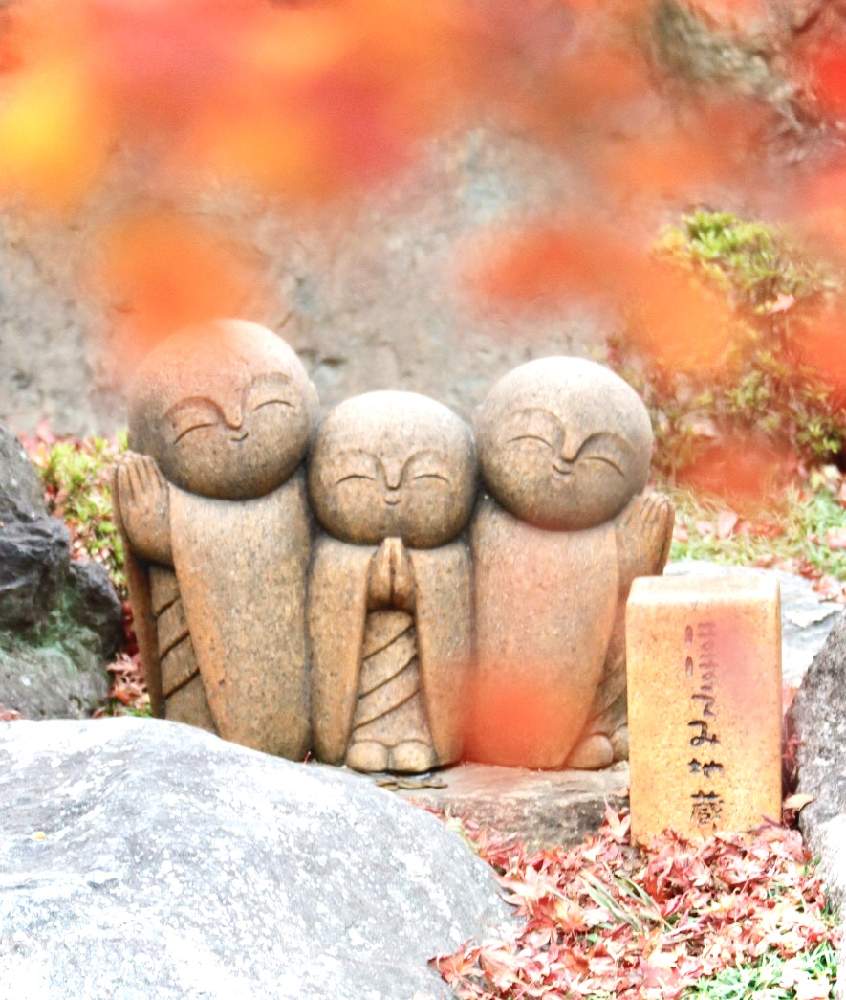 お出かけ先の画像 by ムラッチさん | お出かけ先と桐生 宝徳寺と桐生市と床紅葉(床もみじ)と紅葉(こうよう)と癒されるといやされると群馬県ともみじ紅葉とボタニカルスポット2019秋