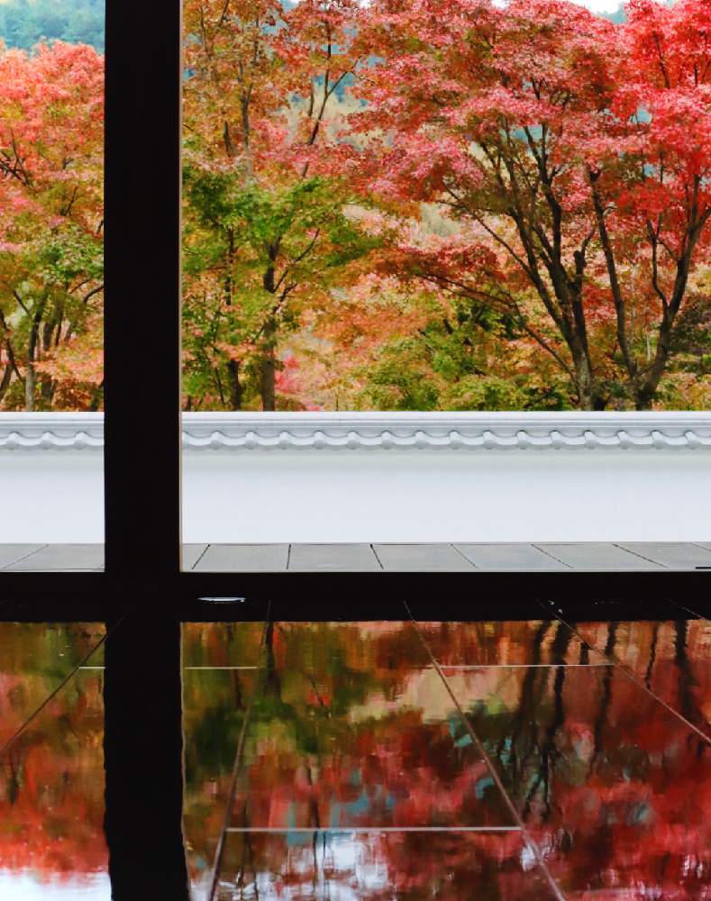お出かけ先の画像 by ムラッチさん | お出かけ先と桐生 宝徳寺と桐生市と床紅葉(床もみじ)と紅葉(こうよう)と癒されるといやされると群馬県ともみじ紅葉とボタニカルスポット2019秋とCanon EOS Kiss M