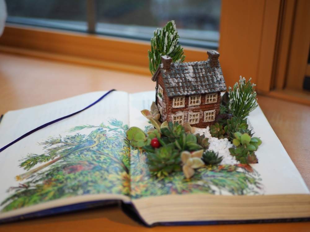 窓辺の画像 by kokoさん | 窓辺と寄せ植えと多肉寄せ植えと寄植えと『単焦点レンズ』フォトコンと25mm F1.7