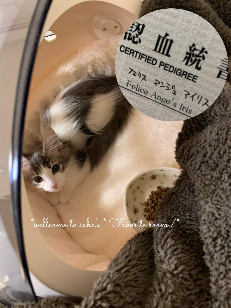 部屋の画像 by さば*さん | 部屋と引っ越しとありがとう❤️とねこちゃん♡とGSに感謝。