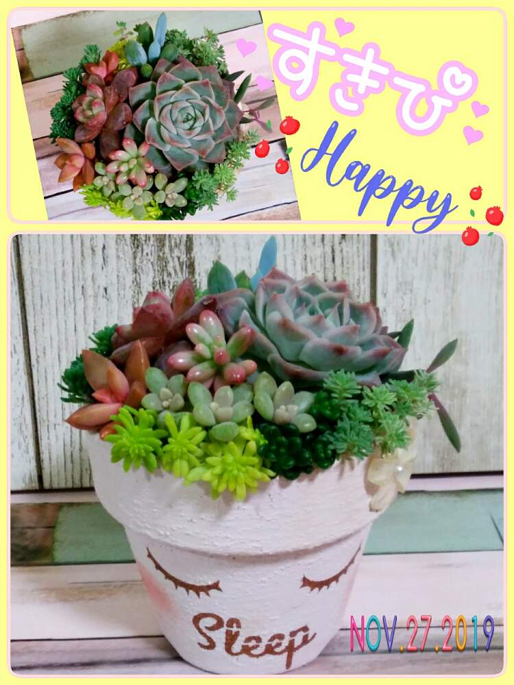 部屋の画像 by ☆みなみ☆さん | 部屋とヒアリナ×プリドニスと『秋の紅葉多肉』フォトコンテストと紅葉中と感動!と繋がりに感謝と日々の暮らしの中の幸せと今日も多肉三昧!とたにおたくらぶ152と癒しをありがとうと秋色と発見と私の癒し系達♡と今日の見~つけた!とたにおたくらぶとsleepリメ鉢