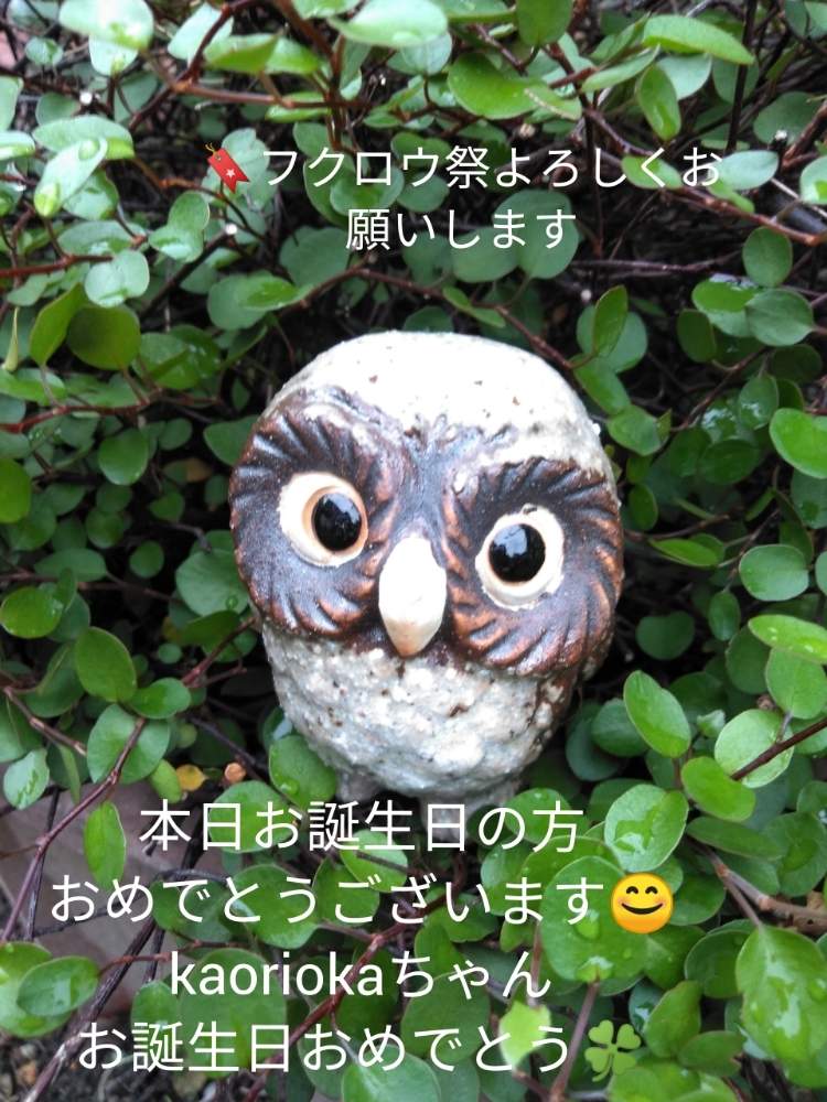 小さな庭の画像 by きゅうちゃんさん | 小さな庭と素敵便と滋賀県とフクロウ祭とヒヤミカチ首里城!
