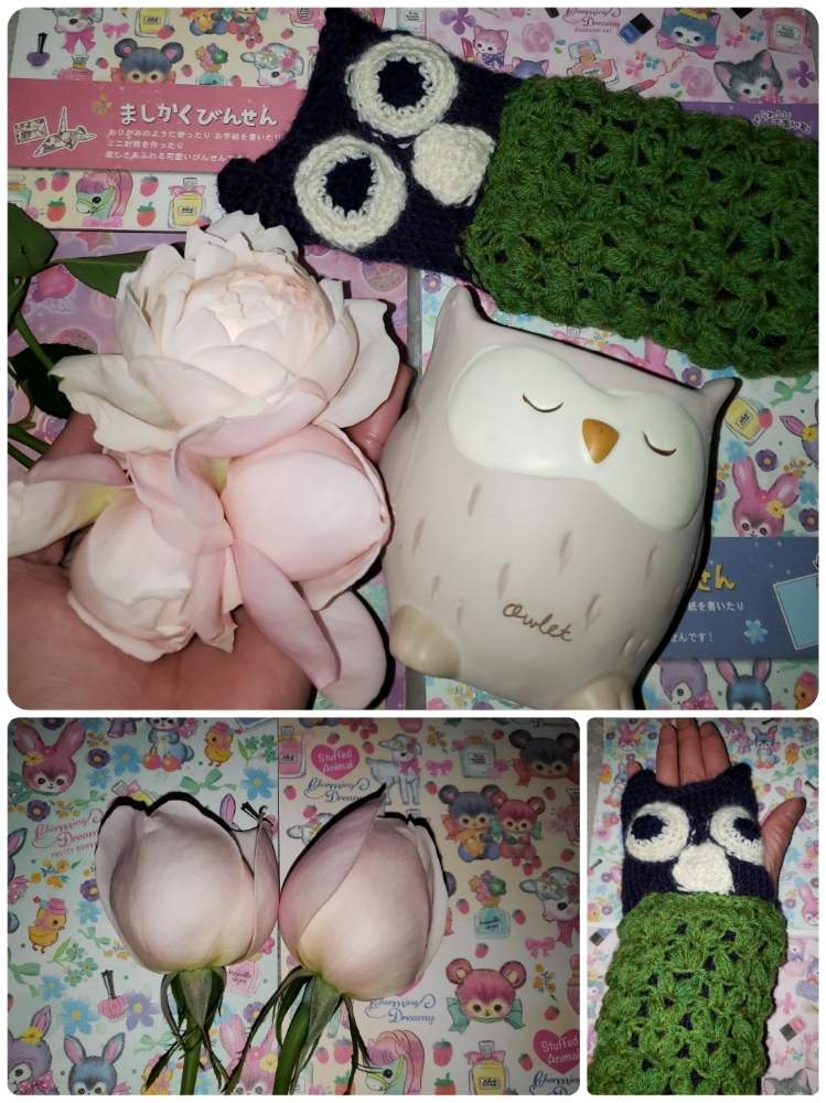 部屋の画像 by あやめさん | 部屋とイングリッシュローズと晩秋のリビングフラワーフォトコンテストとイングリッシュ・ローズと花のある暮らしとバラ・ミニバラとフクロウ祭と幸せを呼ぶフクロウ祭り