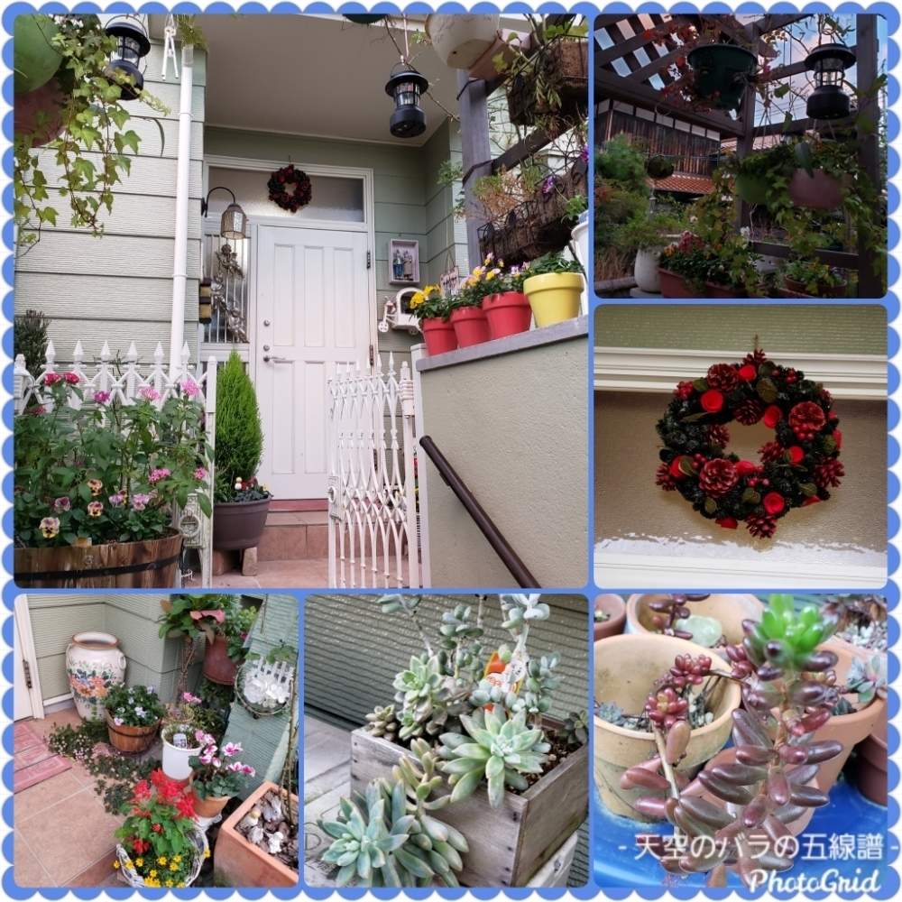 玄関の画像 by 天空のバラの五線譜さん | 玄関と花のある暮らしとビオラ・パンジーと祈りと立体的な庭造り