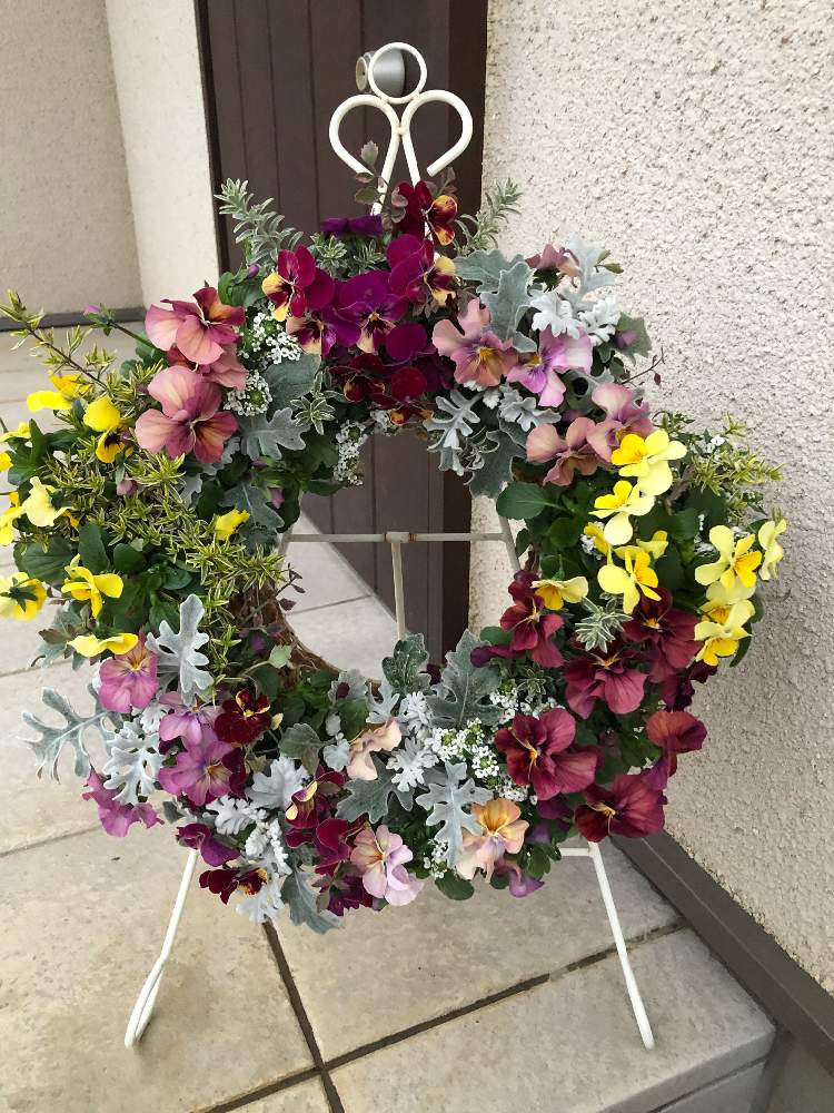 エントランスの画像 by Suuさん | エントランスとプランツギャザリングとギャザリング寄せ植えとギャザリングとギャザリングレッスンと花のある暮らしとはなぞのとあおき式ギャザリングと埼玉県深谷市と大好きビオラ