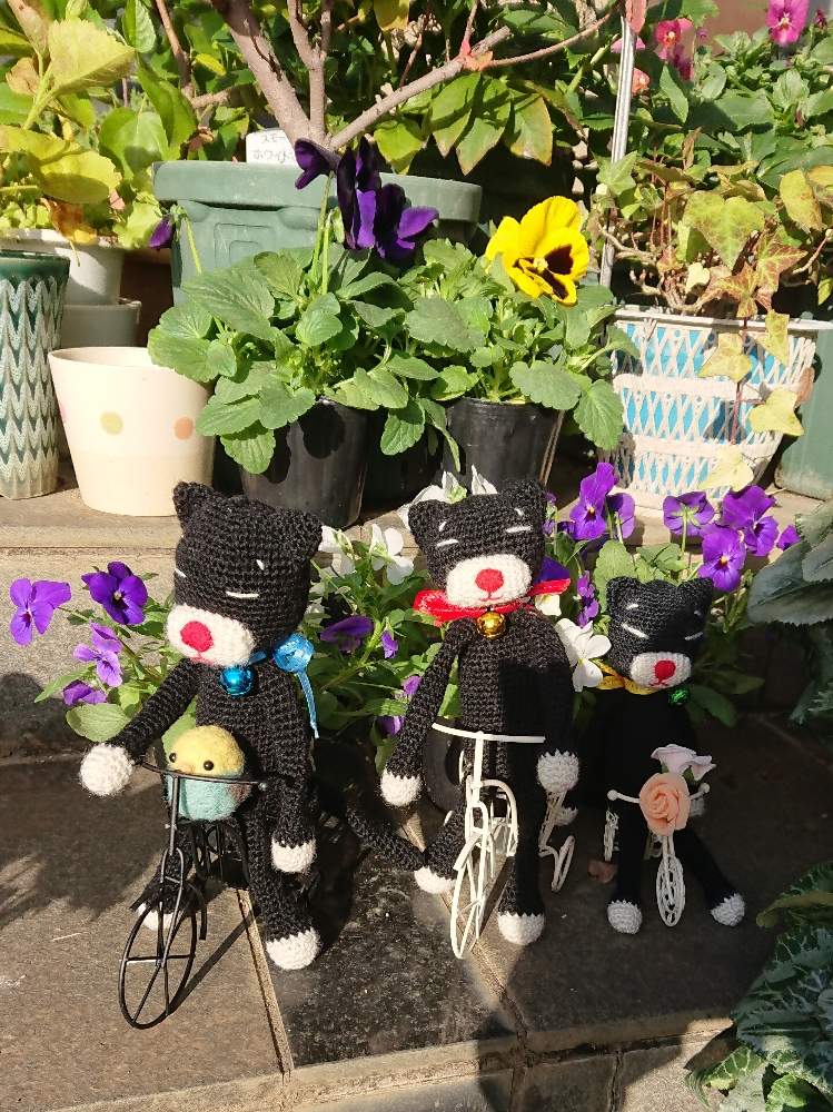 の画像 by まんまるねこさん | パンジーとビオラとビオラ・パンジーとダイソーとあみねこ*紺太郎たちとあみねこと花のある暮らしとDAISO