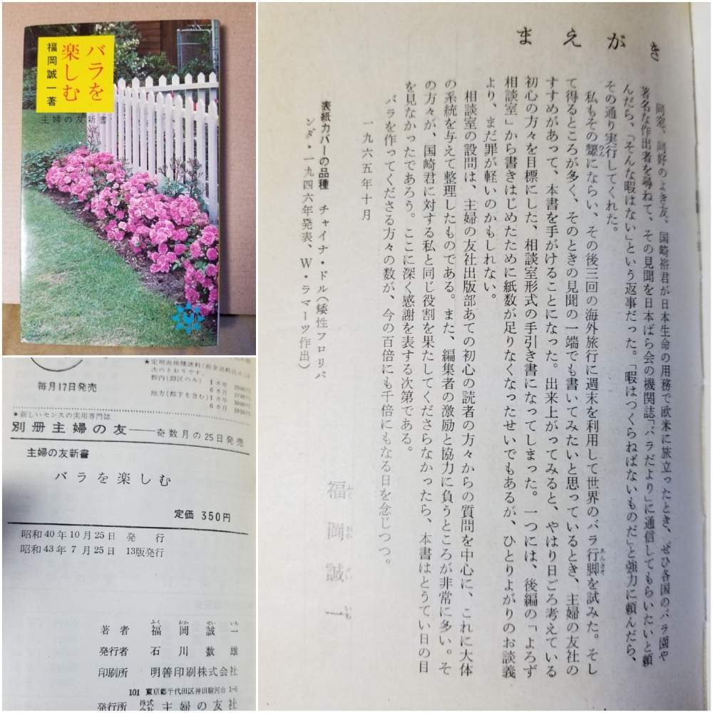 小さな庭の画像 by ニワバラベラバラさん | 小さな庭とばら バラ 薔薇とバラ本と培養土を考える倶楽部と薔薇に魅せられてと福岡誠一と園芸本と薔薇のある暮らし♡とバラ 鉢植えと鉢ロザリアンとお花のある生活と薔薇♪とばら 薔薇 バラとバラ・ミニバラとバラを楽しむ