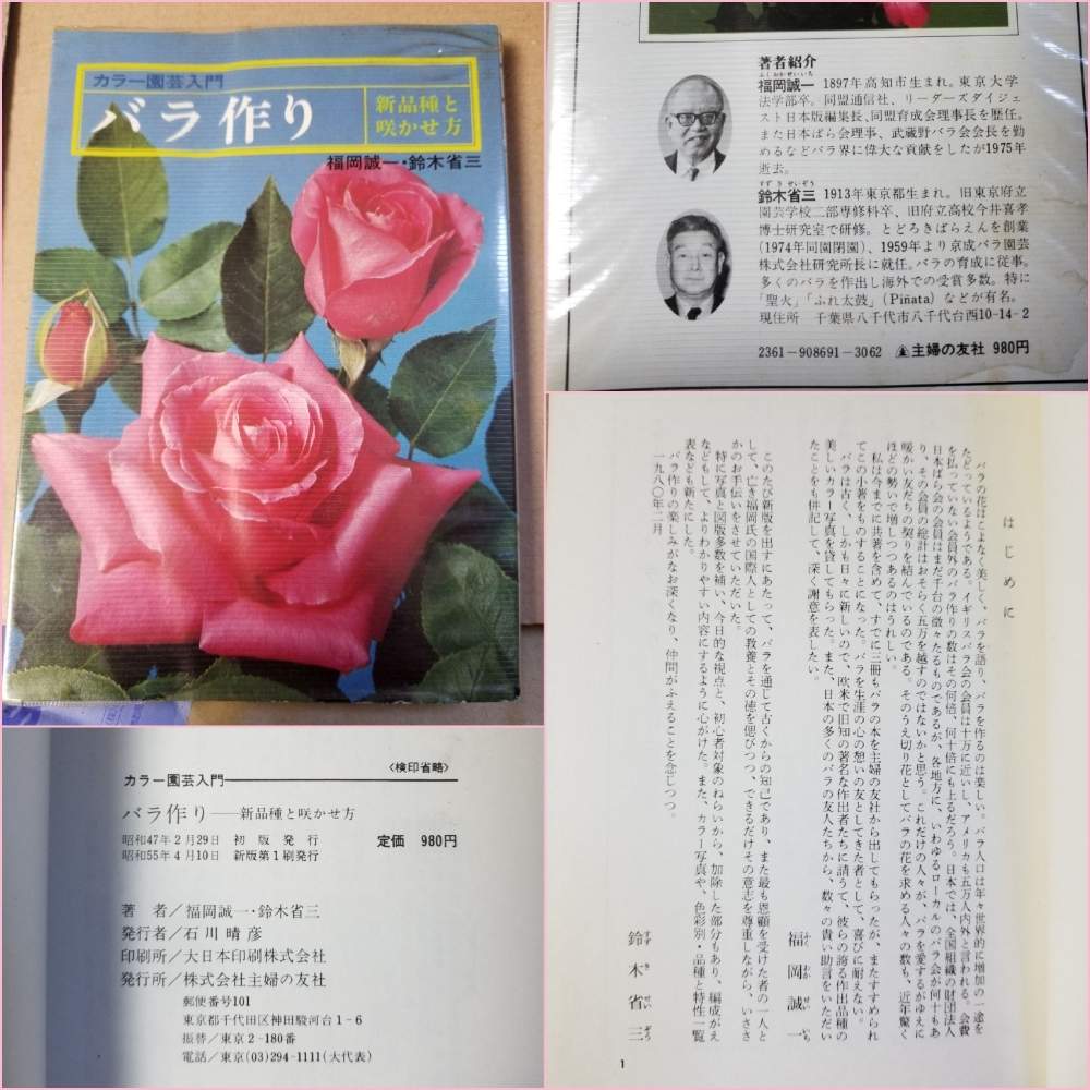 小さな庭の画像 by ニワバラベラバラさん | 小さな庭とばら バラ 薔薇とバラ本と培養土を考える倶楽部と薔薇に魅せられてと福岡誠一と鈴木省三と園芸本と薔薇のある暮らし♡とバラ 鉢植えと花ちゃん培養土と鉢ロザリアンとバラ作りと花のある暮らしとお花のある生活と薔薇♪とばら 薔薇 バラとバラ・ミニバラとバラを楽しむ