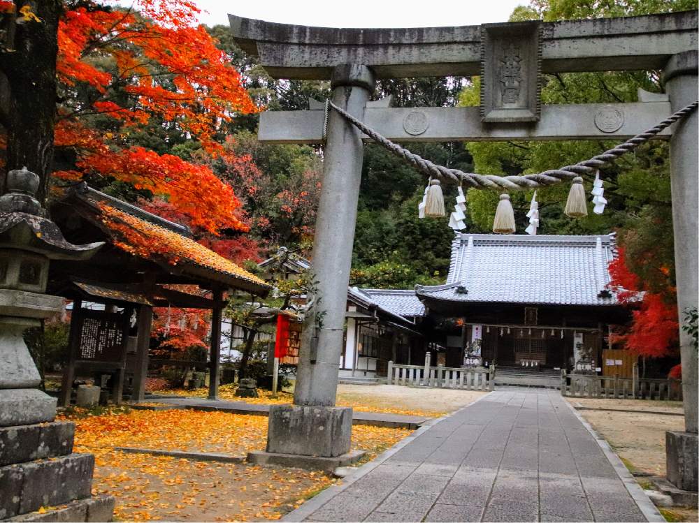 お出かけ先の画像 by チャーさん | お出かけ先と紅葉と豊田市と愛知県と車のトヨタとチャーさんのリポートと徳川家康と松平郷と秋を感じると季節の 便りと秋の姿とチャーさんの 里山歩きと秋の風物詩と里山歩きと秋色とモミジ狩りと紅葉狩りと松平園地