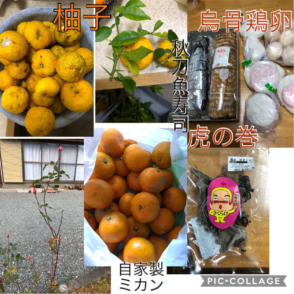 小さな庭の画像 by ピンクの山茶花さん | 小さな庭と花のある暮らしといただきものとばら バラ 薔薇と蕾みシリーズ