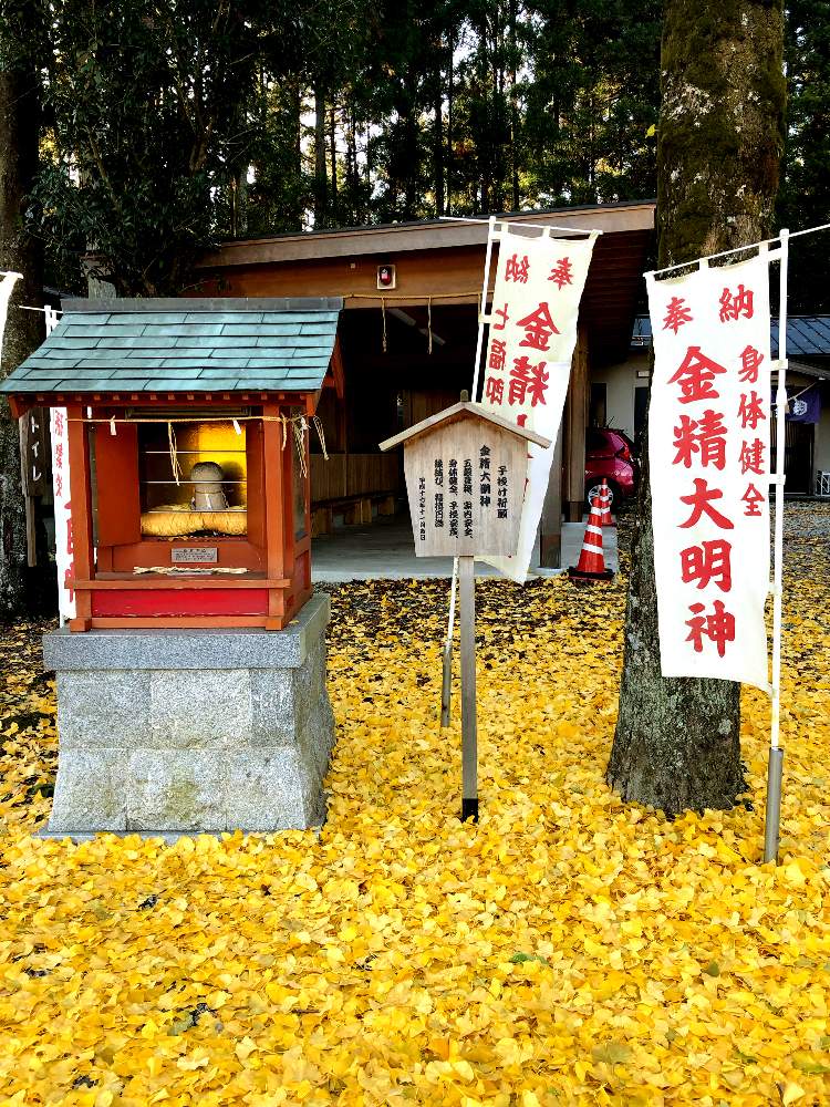 の画像 by 世津ちゃんさん | 岐阜県とバス旅行と福徳神社