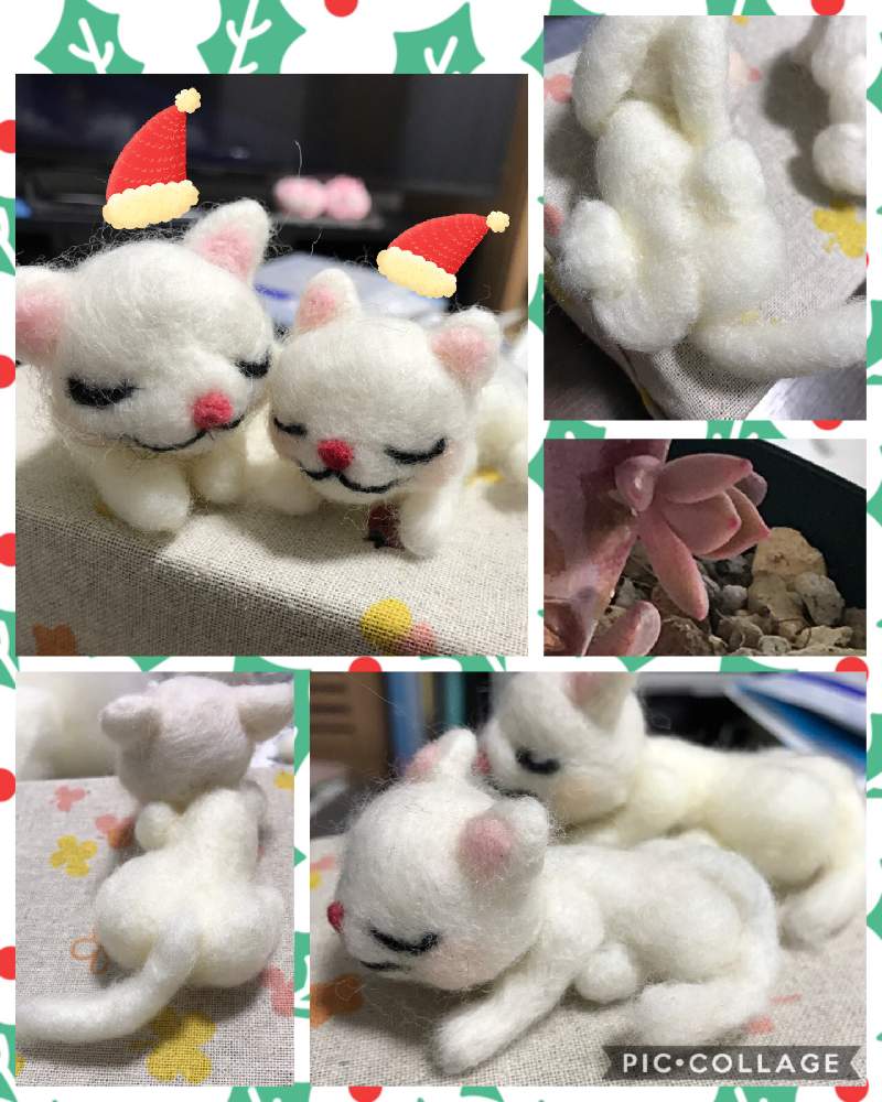 部屋の画像 by ブルーデイジーさん | 部屋