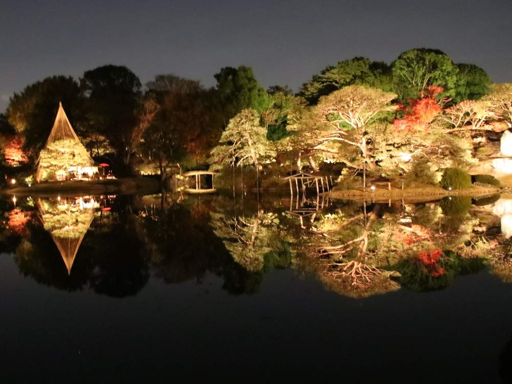 お出かけ先の画像 by やまちゃん~旅~さん | お出かけ先と紅葉と六義園と紅葉ライトアップと都立庭園と都立庭園紅葉めぐりスタンプラリー
