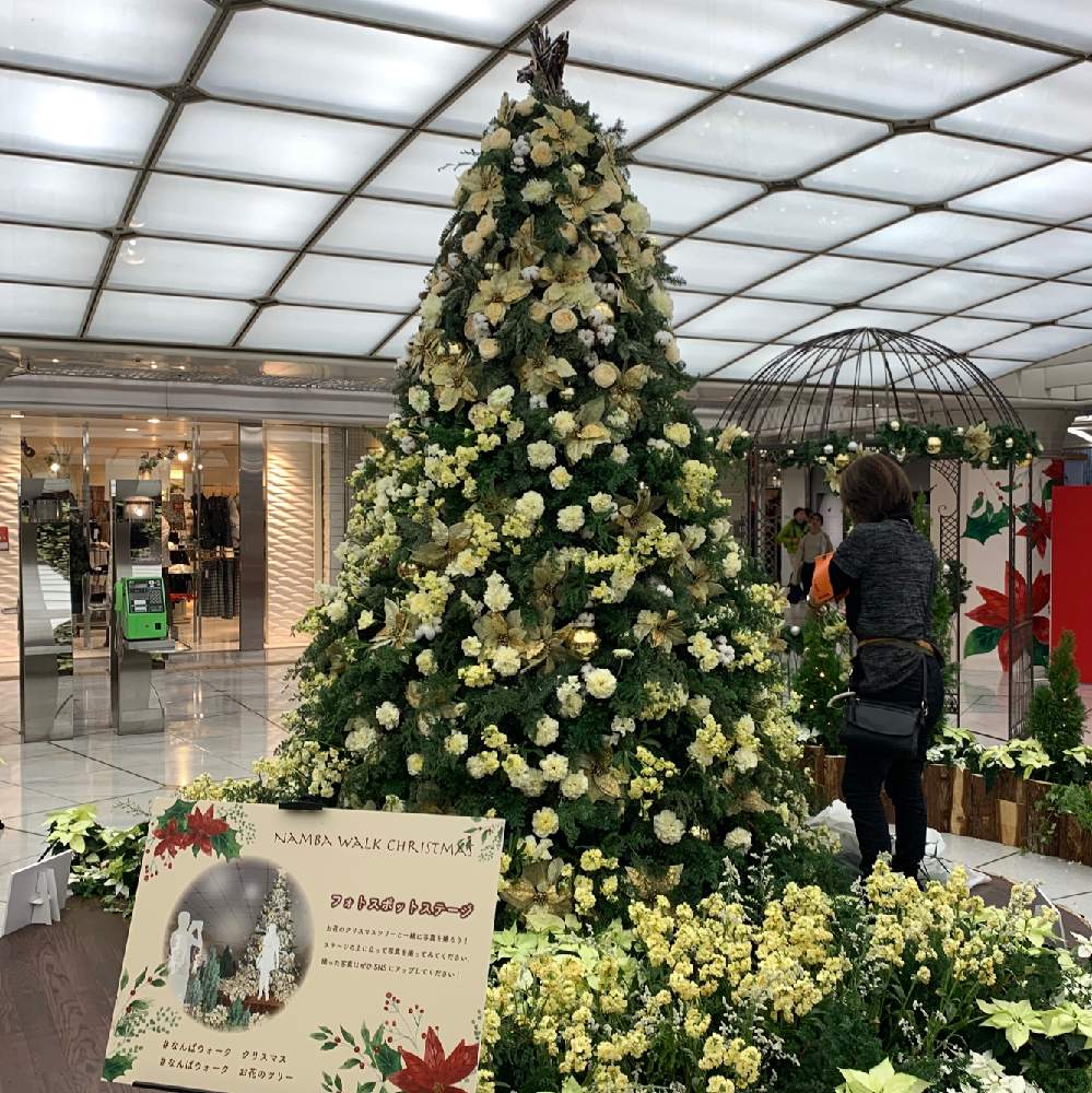 お出かけ先の画像 by Okavangoさん | お出かけ先と冬・OSAKAと毎度!おおさかとX’mas of JAPANと薔薇に魅せられてと1/100万本の薔薇と金・きん・ゴールドとばら バラ 薔薇と薔薇愛同盟