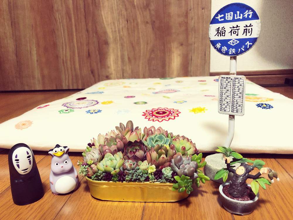 部屋の画像 by SABOTEN(•Ӫ•)さん | 部屋と七国山行 バス停とジブリ好き♡と坊ネズミとハエドリとnana ちゃんの宝石箱と可愛いすぎる〜と多肉大好きと寄せ植えとnana ちゃんの寄せ植えと寒グミの盆栽とGSのみなさんに感謝♡とトトロ大好きと可愛い〜♡と草とも-wとプチ家出とご縁に感謝と花のある暮らしとカオナシとお花大好き❤と盆悩 ガチャポンとやばい♡