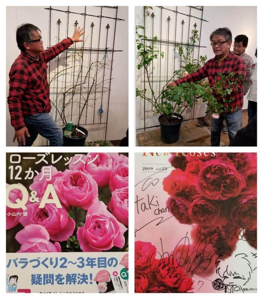 小さな庭の画像 by takiさん | 小さな庭と小山内 健さんとローズレッスン