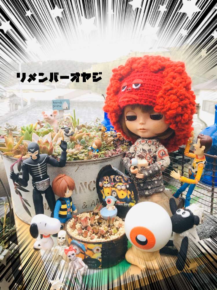 バルコニー/ベランダの画像 by BAKECAFE nicheさん | バルコニー/ベランダと多肉植物いろいろとHTCとリメンバーオヤジとオヤジ祭りと久々のと全国オヤジ連合会とBAKECAFE nicheと目玉おやじと目玉オヤジ集合とHTC広報部長