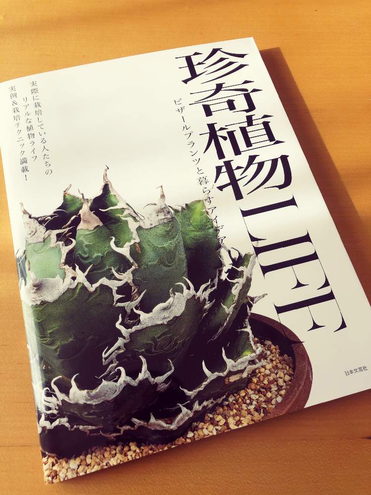 部屋の画像 by タケシ(・∀・)さん | 部屋と植物雑誌と出窓と植物の本と植中毒とビニール温室と出窓グリーンと塊根植物と成長記録とベランダーとビザールプランツ
