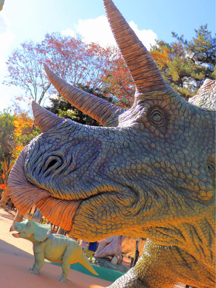 お出かけ先の画像 by チャーさん | お出かけ先とトリケラトプス親子と愛知県とチャーさんのリポートとチャーさんの 里山歩きと里山歩きと動植物観察と晩秋と恐竜とトリケラトプス