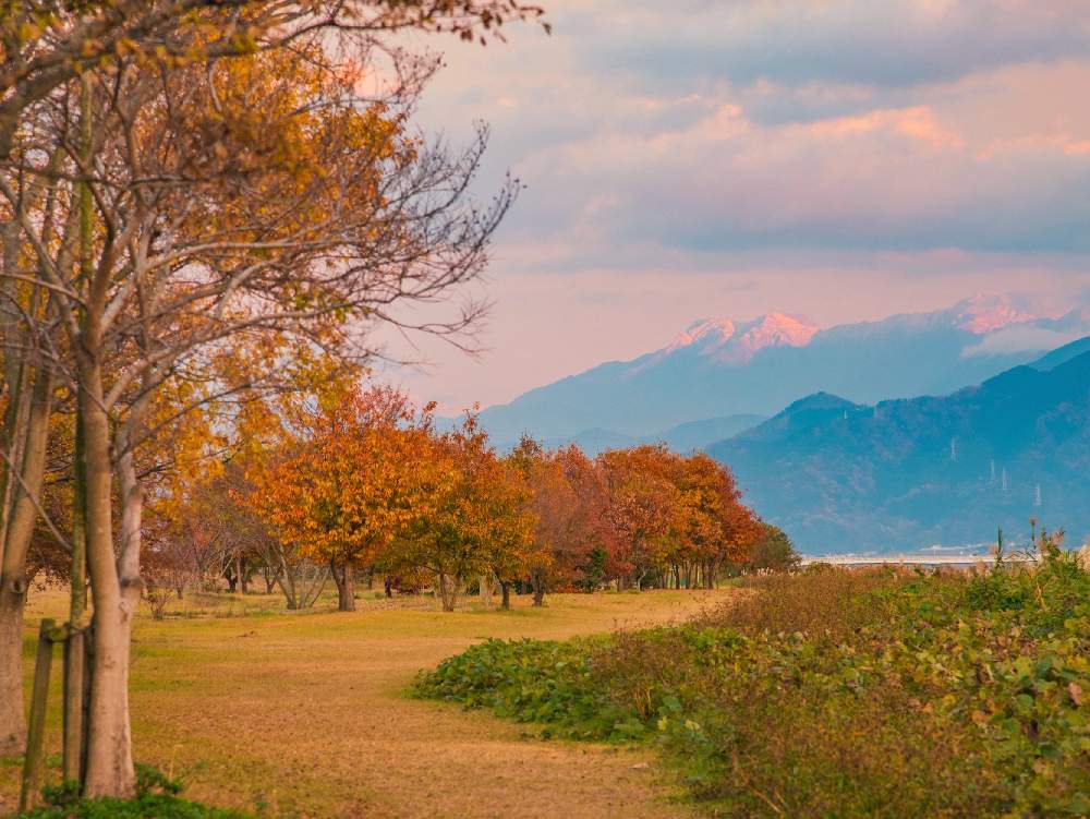 お出かけ先の画像 by わかめさん | お出かけ先と葉っぱとGS映えと夕日とGS日和ときれいと紅葉(こうよう)と雲と空と夕暮れとボタニカルスポット2020冬