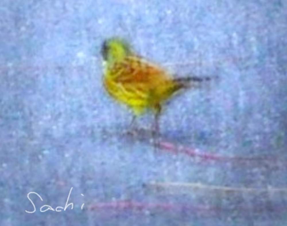お出かけ先の画像 by sachiさん | お出かけ先と野鳥(アオジ)と花のある暮らしと野鳥のいる景色と鈴鹿・亀山