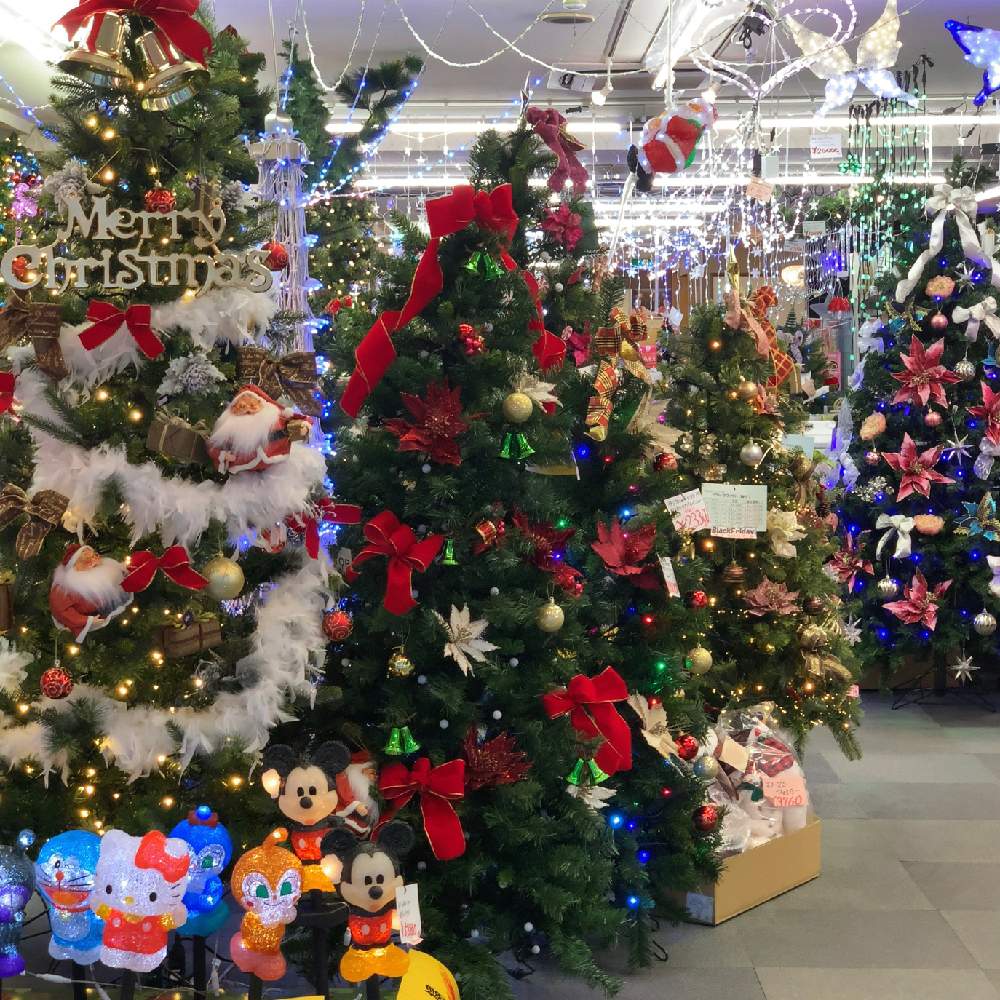 お出かけ先の画像 by Okavangoさん | お出かけ先と冬・OSAKAとX’mas of JAPANと毎度!おおさか