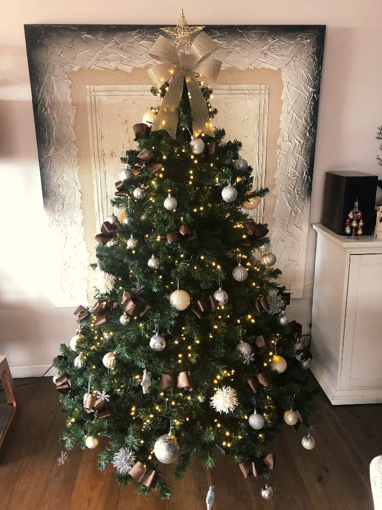 の画像 by SHIHOさん | クリスマスツリーとデコレーションとクリスマスディスプレイとクリスマスの準備と大きな木とクリスマスローズシーズンと自己満足の世界とクリスマス
