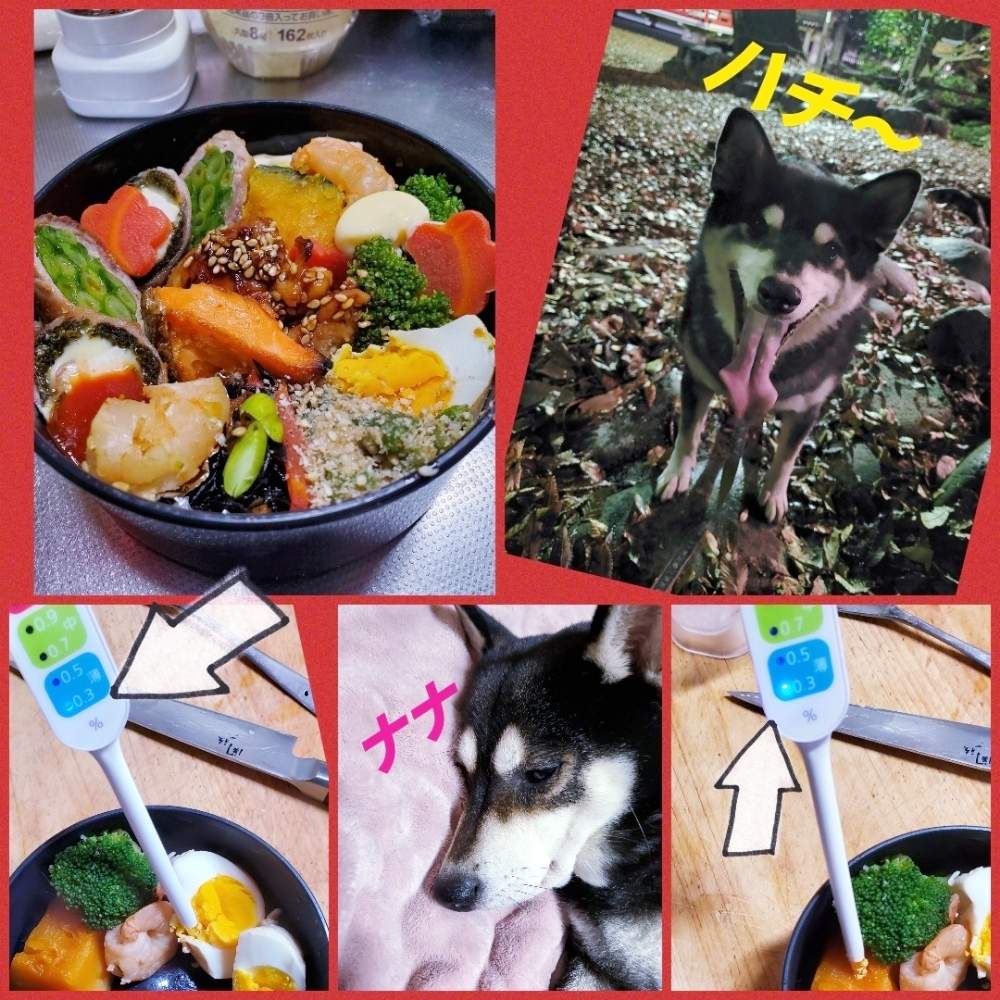 部屋の画像 by nanaさん | 部屋とひとてま込めてと多肉中毒とHTCと多肉大好きと今日の一枚とかわいいな♡