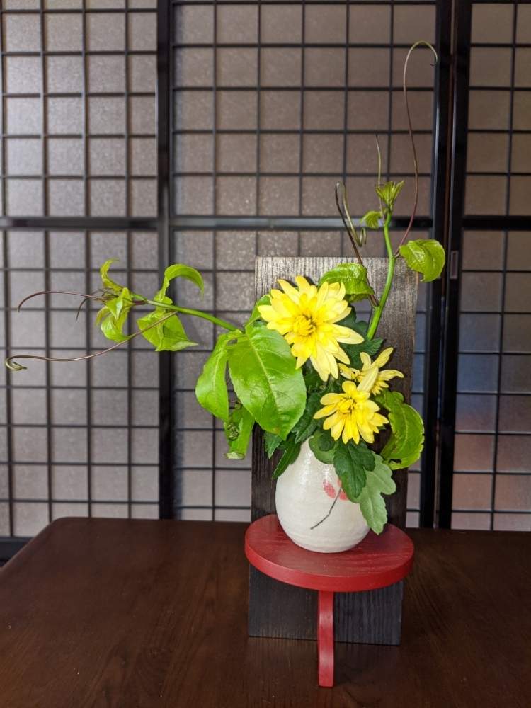 和室の画像 by ごろごろさん | 和室とヒヤミカチ首里城!とひやみかち首里城!と我輩は苔であると花のある暮らしと里山暮らしと家庭菜園奮闘日記と台風被害が少ない様にと里山のある暮らし