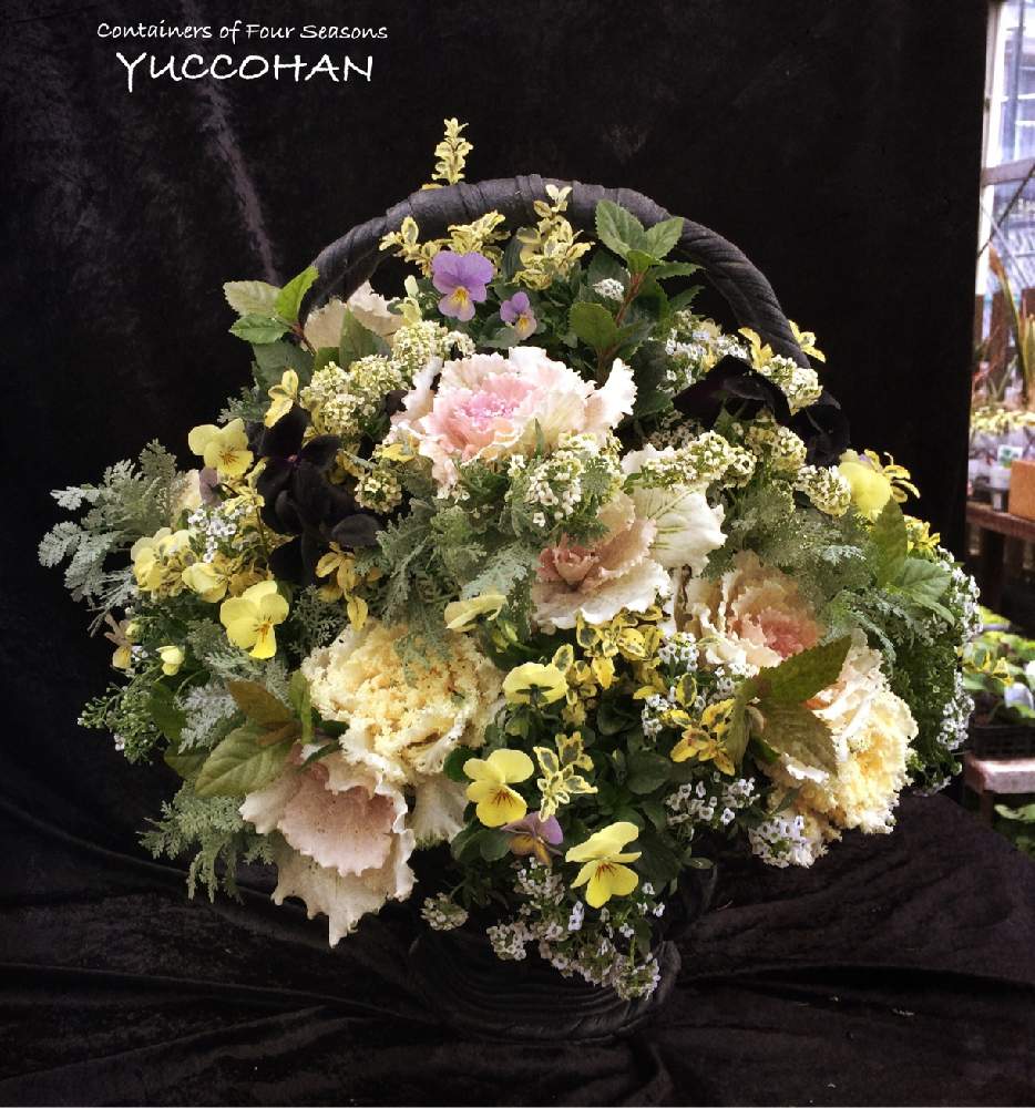 お出かけ先の画像 by 寄せ植え屋ゆっこはんさん | お出かけ先とギャザリング教室とプランツギャザリングと寄せ植えとクリスマスマルシェとギャザリング寄せ植えとイベント出店と横浜女性起業家とギャザリングと寄せ植え屋ゆっこはんとギャザリングレッスンと花のある暮らしとあおき式ギャザリングとワークショップ