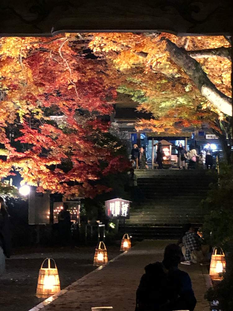 お出かけ先の画像 by Cocoさん | お出かけ先とライトアップされた紅葉と紅葉(こうよう)と大興禅寺