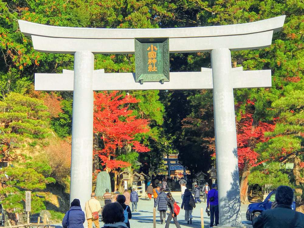 お出かけ先の画像 by チャーさん | お出かけ先とチャーさんのリポートと小國神社と季節の 便りとチャーさんの 里山歩きと里山歩きと秋色と遠江国(とおとうみのくに)と植物観察と大国様と動植物観察と晩秋と静岡県