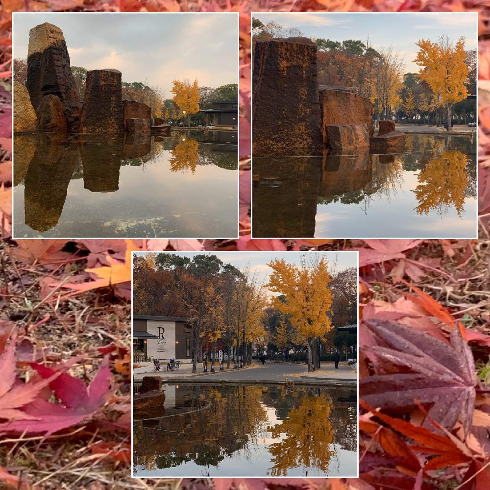 お出かけ先の画像 by Okavangoさん | お出かけ先と紅葉(こうよう)と大阪城公園と冬・OSAKAと毎度!おおさか
