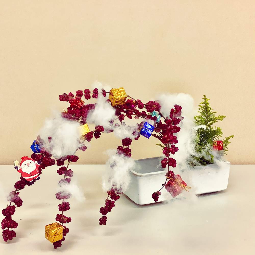 部屋の画像 by apricot53さん | 部屋とシンフォリカルポスとヒバと植物のある暮らしと花器とリースといけばなとフラワーアレンジメントと花のある暮らしとクリスマスリースフォトコンとクリスマスリースとテーブルウェアと切り花と生け花