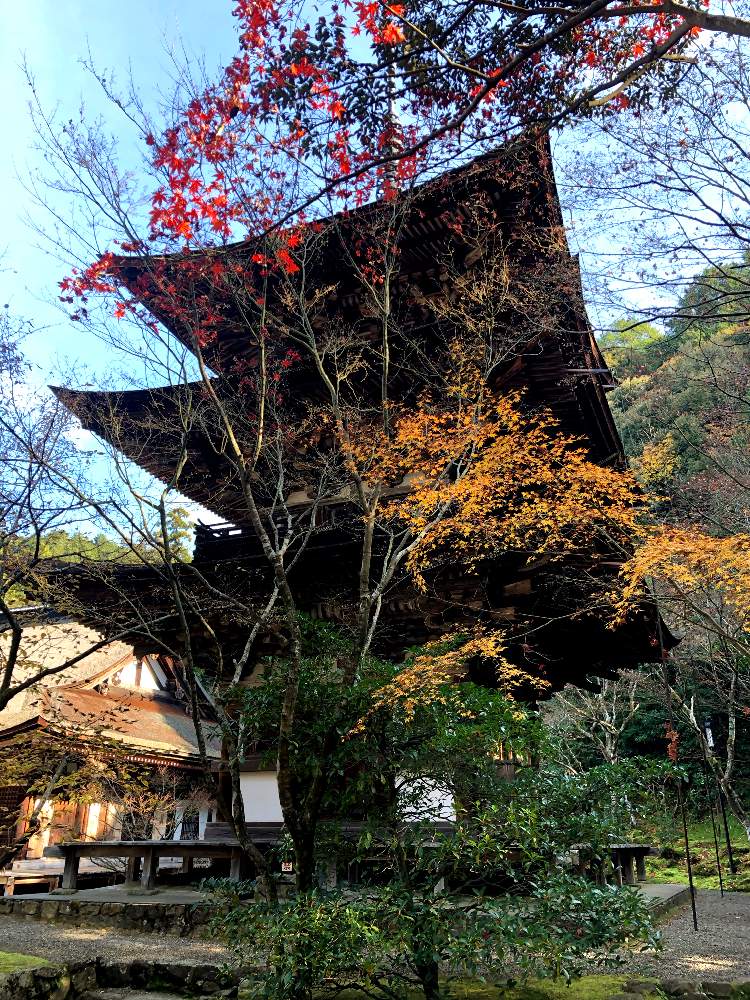 の画像 by 世津ちゃんさん | 西明寺と湖東三山と滋賀県