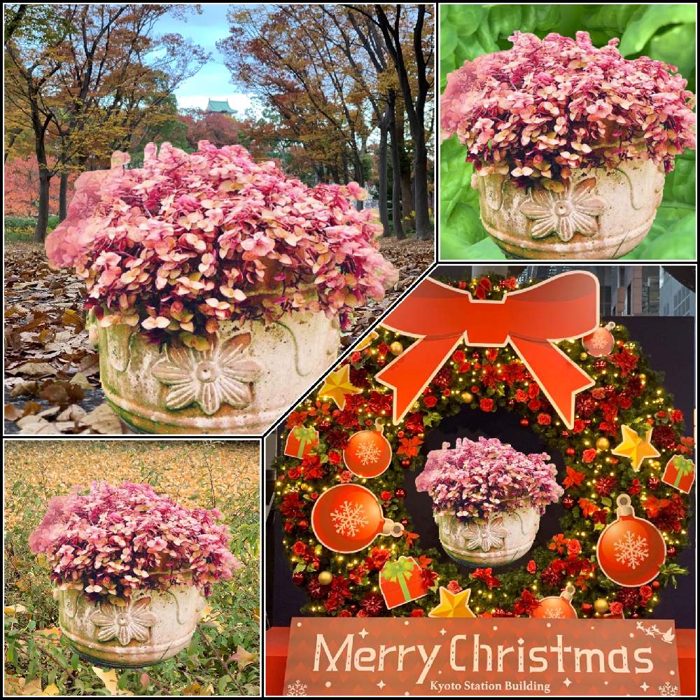 お出かけ先の画像 by Okavangoさん | お出かけ先とGS映えと冬・OSAKAとコラージュ de パッチワークとX’mas of JAPANとiPhone 物語